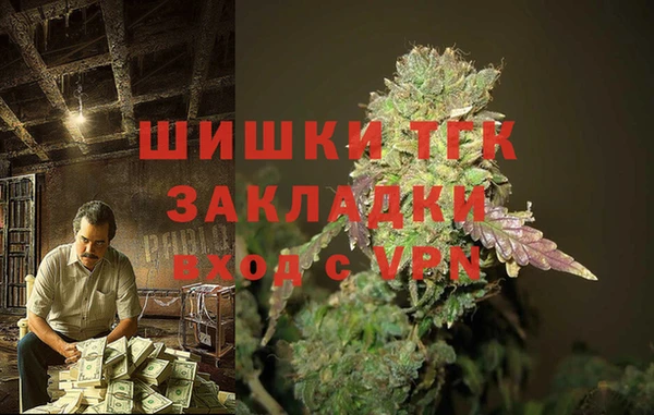 дмт Карпинск