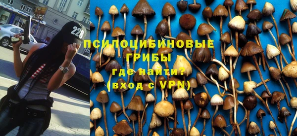 дмт Карпинск