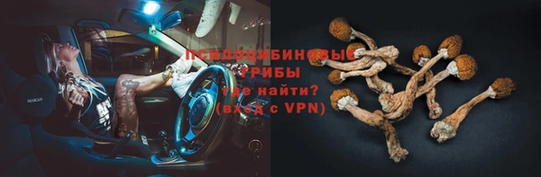 Альфа ПВП Касимов