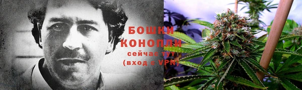 Альфа ПВП Касимов