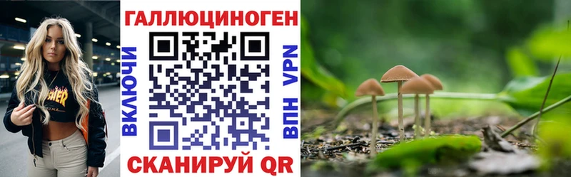 Псилоцибиновые грибы Psilocybe  Октябрьский 